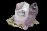 Amethyst Crystal Cluster - Las Vigas, Mexico #165647-1